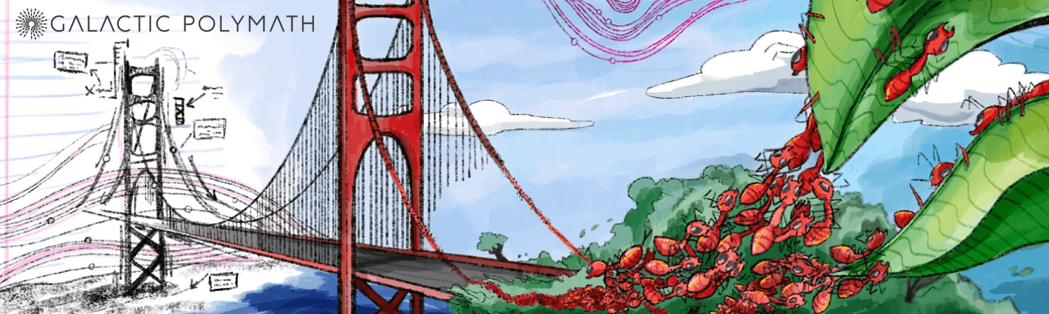 Looking to Biology for Better Solutions