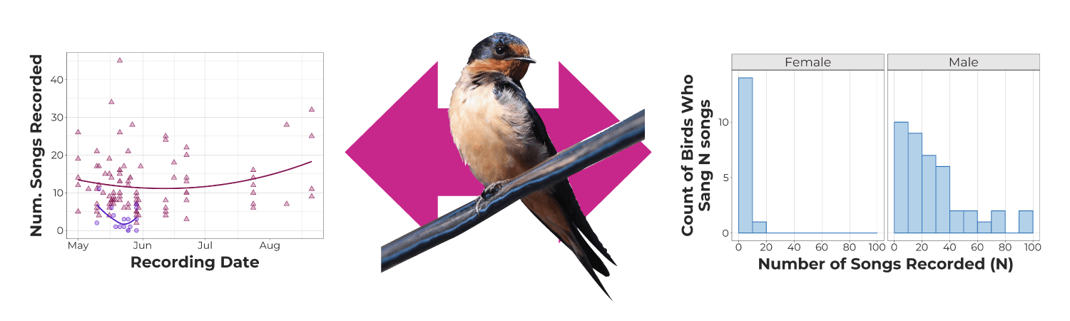 Challenging long-held assumptions about birdsong through data visualization