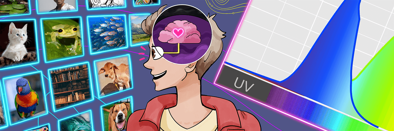 How perception, emotion, and cognition shape our preferences